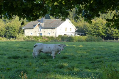 Gîte - La Héronnière